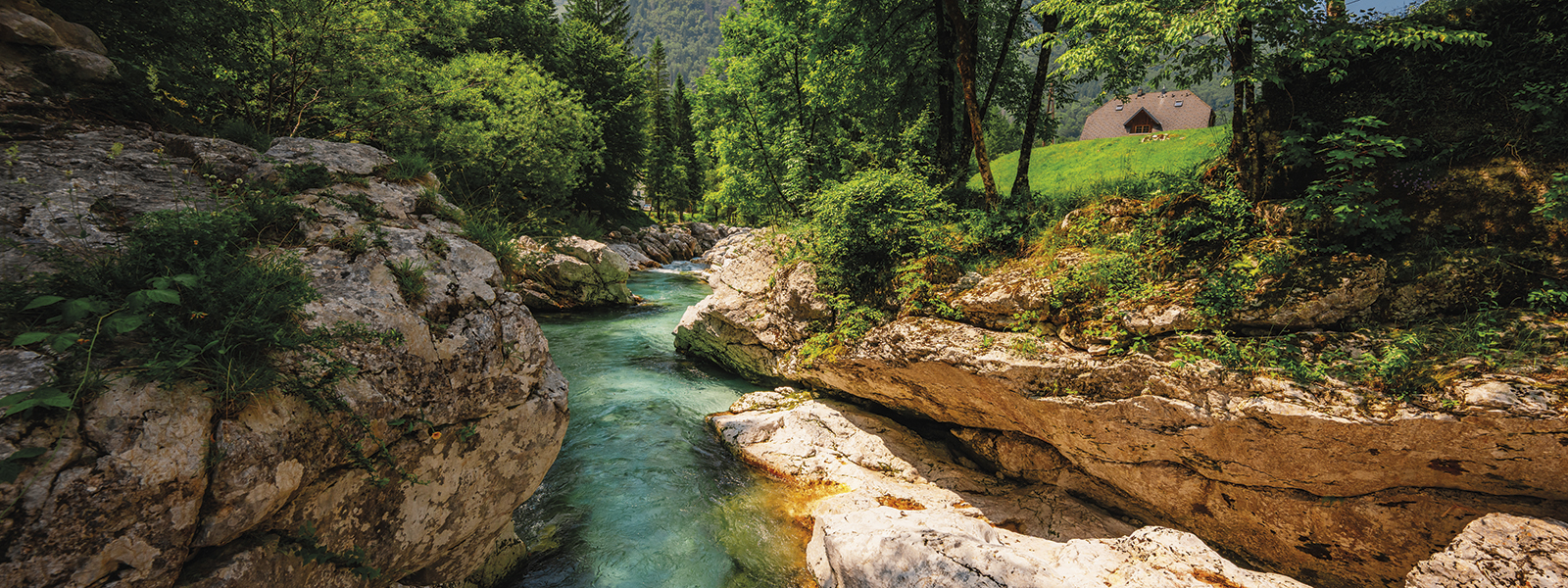Slovenia - Valle dell'Isonzo e Grotte di Postumia